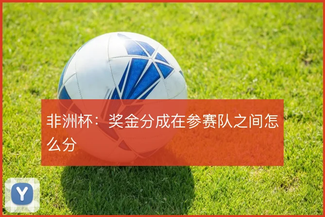 非洲杯：奖金分成在参赛队之间怎么分