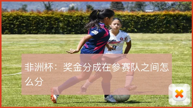 非洲杯：奖金分成在参赛队之间怎么分